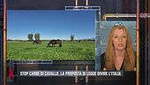 Stop carne di cavallo: l'intervento di Michela Vittoria Brambilla