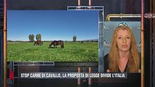 Stop carne di cavallo: l'intervento di Michela Vittoria Brambilla