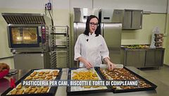 Pasticceria per cani: biscotti e torte di compleanno