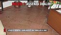 Stasi e Sempio, Garlasco è un thriller a due