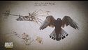Leonardo da Vinci: l'amore per gli animali
