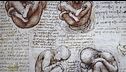 Leonardo da Vinci: la passione per l'anatomia