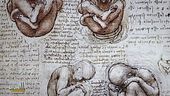 Leonardo da Vinci: la passione per l'anatomia