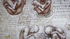 Leonardo da Vinci: la passione per l'anatomia