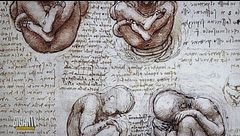 Leonardo da Vinci: la passione per l'anatomia