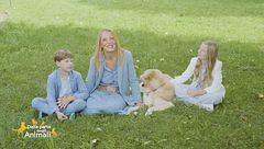 Puntata del 16 novembre