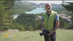 Il fotografo degli orsi
