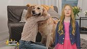 Stella's World: il significato simbolico del cane
