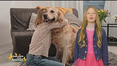 Stella's World: il significato simbolico del cane