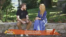 La storia di La storia di Mulan, la cagnolina rapita
