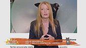 Finalmente giustizia, dentro la legge Brambilla