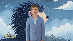 Nel bosco con Leo: il riccio