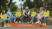 Il rondone maggiore