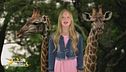 Stella's world: la giraffa