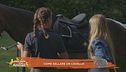 Un cavallo per amico: come sellare un cavallo