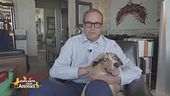 Alaska, la cagnolina di Tommaso Cerno e Giada