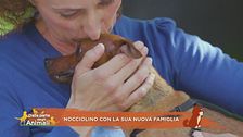 Nocciolino con la sua nuova famiglia