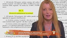 Finalmente giustizia - Dentro la legge Brambilla