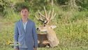 Nel bosco con Leo