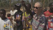 In ricordo di Jane Goodall