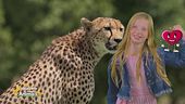 Stella's world