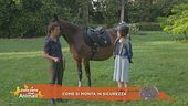 Un cavallo per amico