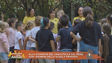 Gli ospiti del CRAS Stella del Nord