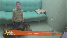 Le domande dei bambini