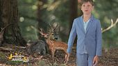 Nel bosco con Leo