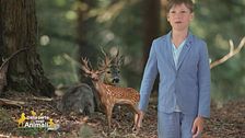 Nel bosco con Leo