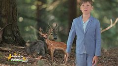 Nel bosco con Leo