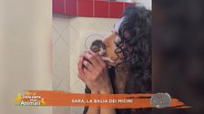 Sara, la balia dei micini