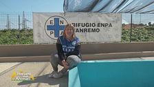 L'Enpa, sezione di Imperia-Sanremo