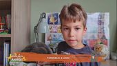 Perchè i gatti hanno la lingua ruvida?