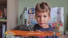 Perchè i gatti hanno la lingua ruvida?