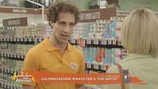 L'alimentazione mirata per il tuo gatto