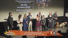Pet Carpet Film Festival