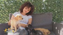 La storia di quattro cucciole abbandonate