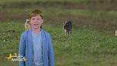 Nel bosco con Leo: la lepre