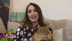 Gli amici pelosetti di Chiara Francini