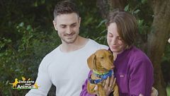 La nuova famiglia di Otto