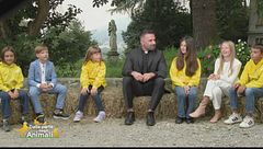 Il leone, il re coraggioso