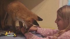 La mia vita con Tiffany