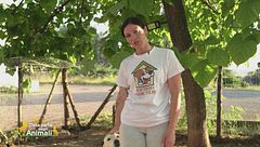 Il Rifugio Code Felici