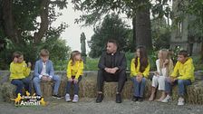 Il serpente, il rettile che insegna a pensare prima di agire