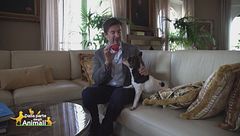 Michelangelo, il padrone di casa di: Riccardo Signoretti