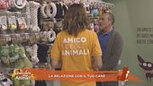 La relazione con il tuo cane