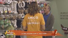 La relazione con il tuo cane