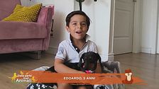 Le domande dei bambini
