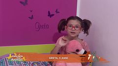 Perchè il fenicottero è rosa?